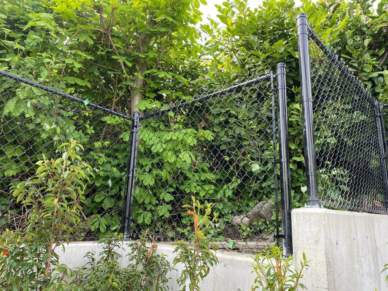 fence-installation-services-surrey-vancouver-lowermainland-bc-14.webp