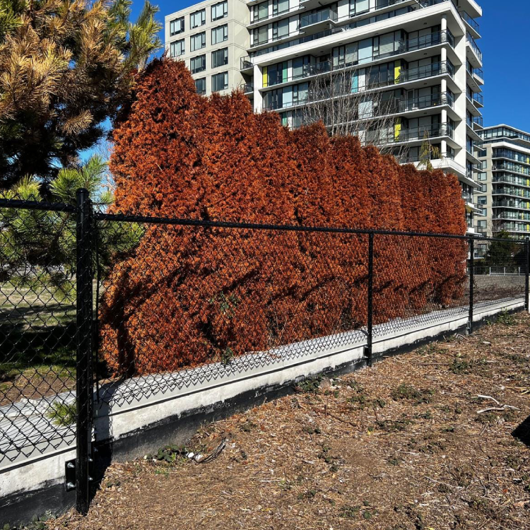 Fence Installation Surrey